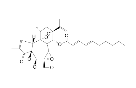 VESICULOSIN