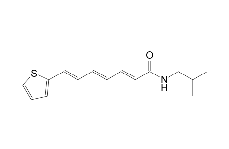N-(2'-Methylpropyl)-7-(2"-thienyl)-2,4,6-heptatrienamide