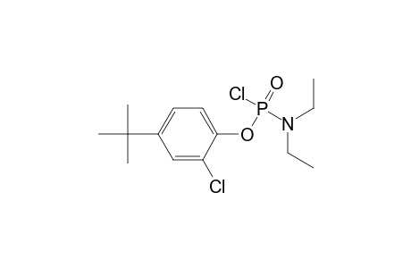 Diethyl O-(4-tert.butyl-2-chlorophenyl)phosphoramidochloridate