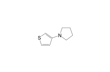 1-(3-Thienyl)pyrrolidine