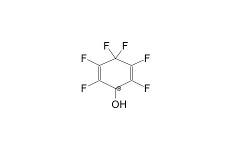 HEXAFLUORO-2,5-CYCLOHEXADIENONE, PROTONATED