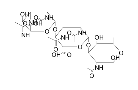 BETA-TRISACCHARIDE 1 (FROM PSEUDOMONAS AERUGINOSA O)