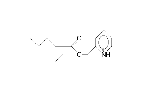 2-Ethyl-2-methyl-hexanoic acid, 2-pyridinium-methyl ester cation