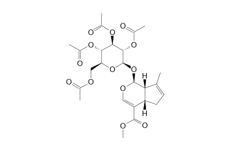 10-DEOXYGENIPOSIDE-TETRAACETATE