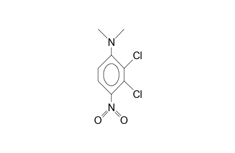 2,3-Dichloro-N,N-dimethyl-4-nitro-aniline