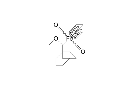 (Bicyclo(3.2.1)octan-1-yl)-methoxy-methyl-(/.eta.-5/-cyclopentadienyl) iron dicarbonyl