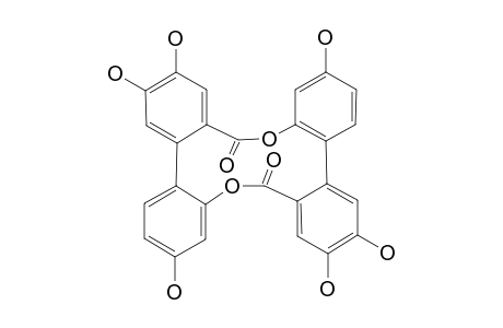 CAESAPPANIN-A