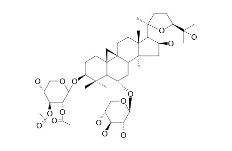 ASTRASIEVERSIANIN_II