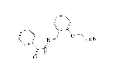 N'-{(E)-[2-(cyanomethoxy)phenyl]methylidene}benzohydrazide
