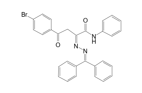 (2Z)-2-(benzhydrylidenehydrazinylidene)-4-(4-bromophenyl)-4-oxo-N-phenylbutanamide