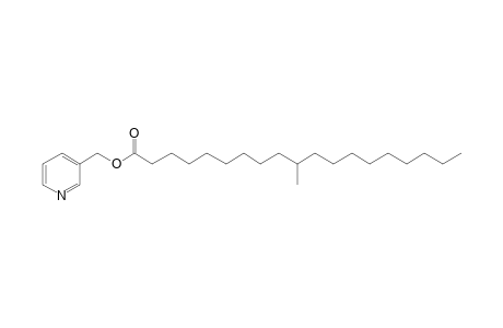 Picolinyl 10-methylnonadecanoate