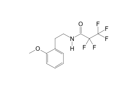 2-Methoxyphenethylamine PFP