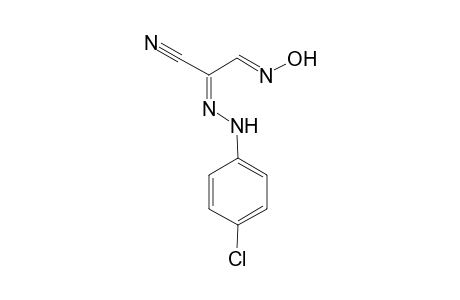 2-[(p-Chlorophenylhydrazono)-3-(hydroxyimino)-1-propionitrile