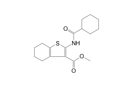 benzo[b]thiophene-3-carboxylic acid, 2-[(cyclohexylcarbonyl)amino]-4,5,6,7-tetrahydro-, methyl ester