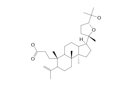 (24R)-SHOREIC-ACID