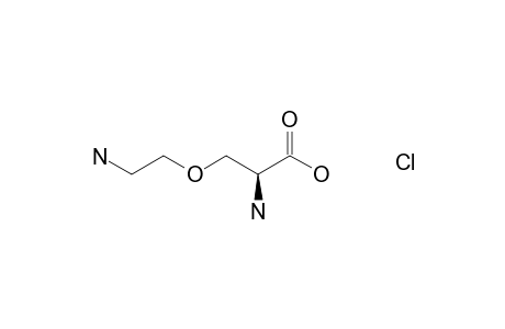 (S)-(+)-2-Amino-3-(2-aminoethoxy)propanoic acid monohydrochloride