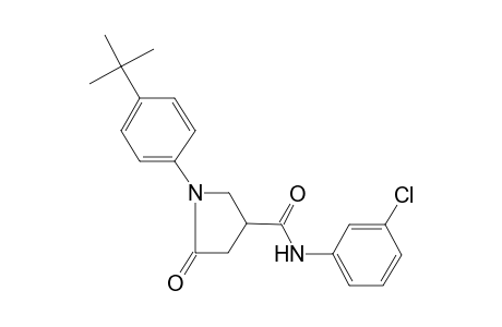 1-(4-tert-Butyl-phenyl)-5-oxo-pyrrolidine-3-carboxylic acid (3-chloro-phenyl)-amide