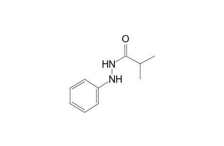 2-Methyl-N'-phenylpropanohydrazide