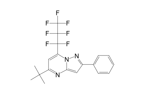 7-HEPTAFLUOROPROPYL-2-PHENYL-5-TERT.-BUTYL-PYRAZOLO-[1,5-A]-PYRIMIDINE