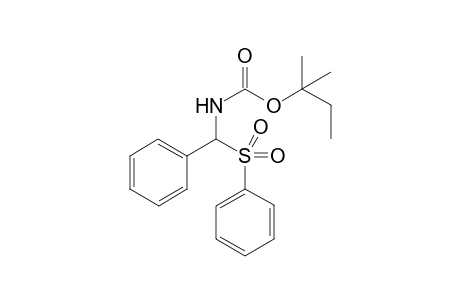 Tert-pentyl phenyl(phenylsulfonyl)methylcarbamate