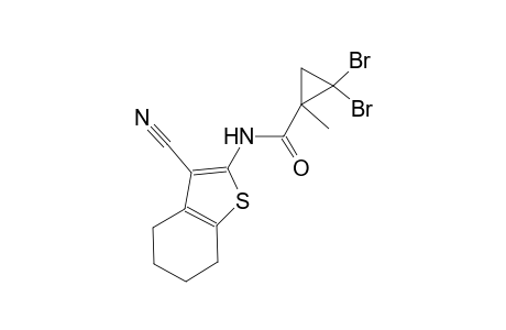 2,2-dibromo-N-(3-cyano-4,5,6,7-tetrahydro-1-benzothien-2-yl)-1-methylcyclopropanecarboxamide