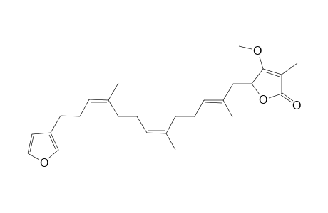 2-[(2E,6Z,10Z)-13-(3-furanyl)-2,6,10-trimethyltrideca-2,6,10-trienyl]-3-methoxy-4-methyl-2H-furan-5-one