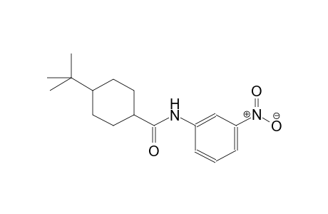 4-tert-butyl-N-(3-nitrophenyl)cyclohexanecarboxamide