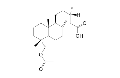18-Acetoxy-13S-labd-8(17)-en-15-oic Acid