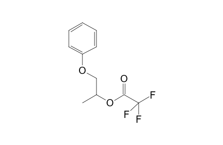 1-Phenoxypropan-2-yl trifluoroacetate