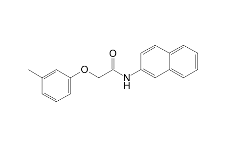 2-(3-Methylphenoxy)-N-(2-naphthyl)acetamide