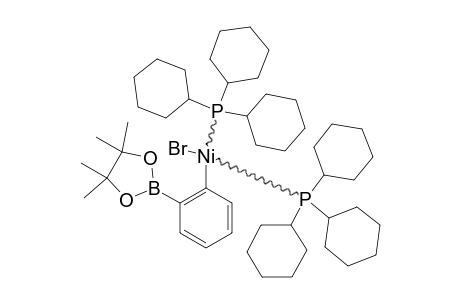 [NI-BR-[ORTHO-C6H4BRB(PIN)]-(PCY3)(2)]