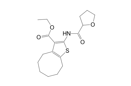 ethyl 2-[(tetrahydro-2-furanylcarbonyl)amino]-4,5,6,7,8,9-hexahydrocycloocta[b]thiophene-3-carboxylate
