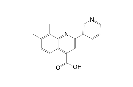 7,8-dimethyl-2-(3-pyridinyl)-4-quinolinecarboxylic acid
