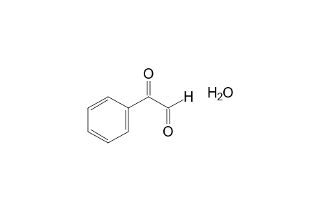 Phenylglyoxal monohydrate