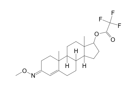 Epitestosterone, trifluoroacetate, o-methyloxime