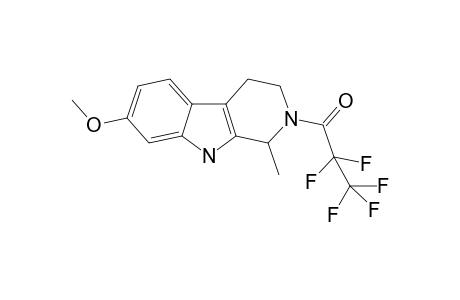 Tetrahydroharmine PFP