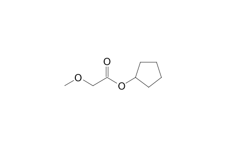 Cyclopentyl methoxyacetate
