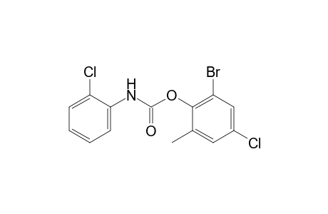 o-chlorocarbanilic acid, 6-bromo-4-chloro-o-tolyl ester