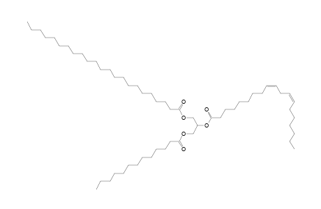 TG 13:0_19:2_23:0