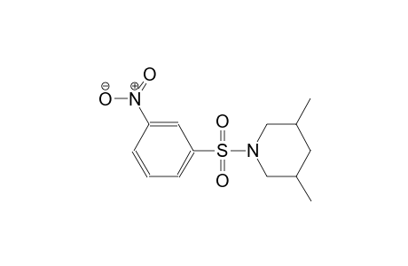 3,5-dimethyl-1-[(3-nitrophenyl)sulfonyl]piperidine