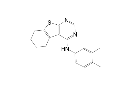 N-(3,4-dimethylphenyl)-5,6,7,8-tetrahydro[1]benzothieno[2,3-d]pyrimidin-4-amine