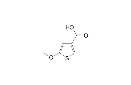 3-Thiophenecarboxylic acid, 5-methoxy-