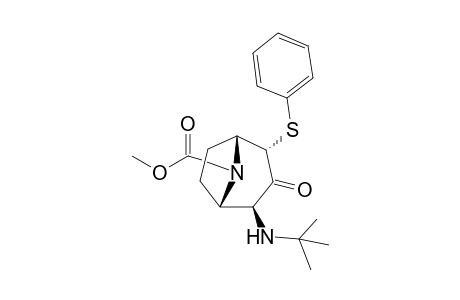 N-Methoxycarbonyl-2-endo-(phenylsulfonyl)-4-exo-(tert-butylamino)-8-azabicyclo[3.2.1]octan-3-one