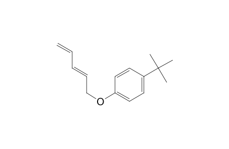 4-tert-Butylphenyl 2,4-pentadienyl ether