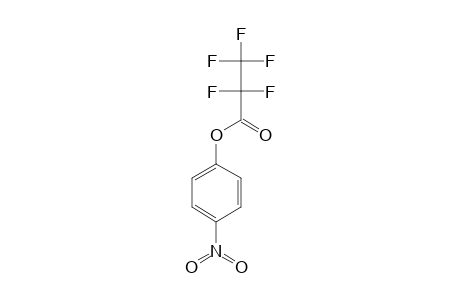 4-Nitrophenol, pentafluoropropionate