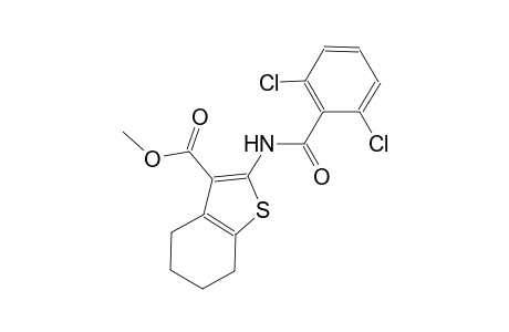methyl 2-[(2,6-dichlorobenzoyl)amino]-4,5,6,7-tetrahydro-1-benzothiophene-3-carboxylate