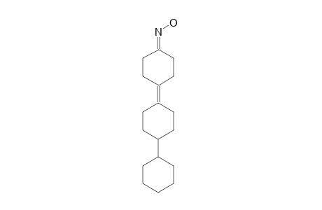 4'-CYClOHEXYL-1,1'-BICYClOHEXYLIDENE-4-ONE-OXIME