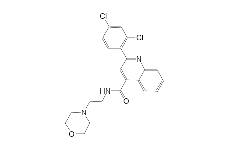 2-(2,4-dichlorophenyl)-N-[2-(4-morpholinyl)ethyl]-4-quinolinecarboxamide