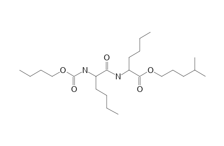 D-Norleucyl-D-norleucine, N-butoxycarbonyl-, isohexyl ester