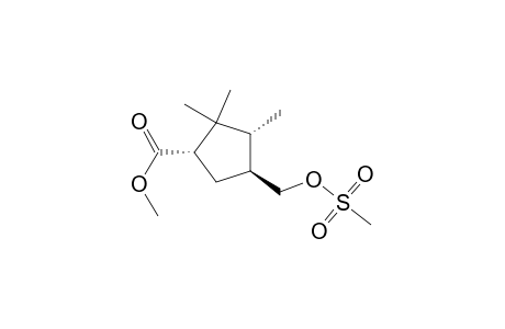 Cyclopentanecarboxylic acid, 2,2,3-trimethyl-4-[[(methylsulfonyl)oxy]methyl]-, methyl ester, [1S-(1.alpha.,3.alpha.,4.beta.)]-